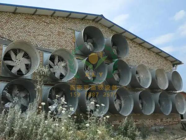 養(yǎng)雞設備、風機