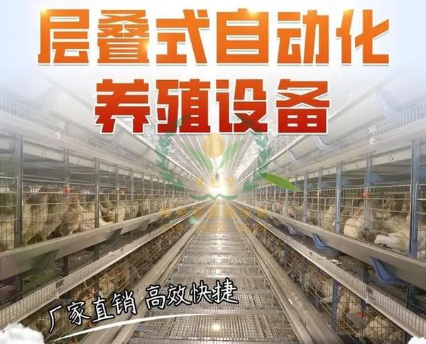 養(yǎng)雞設(shè)備、雞籠廠