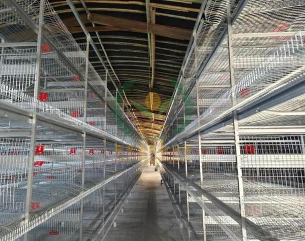 养鸭设备,鸭笼厂