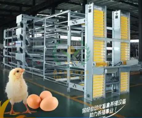 养鸡设备、鸡笼厂