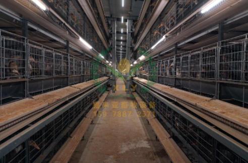 养鸭设备、鸭笼厂