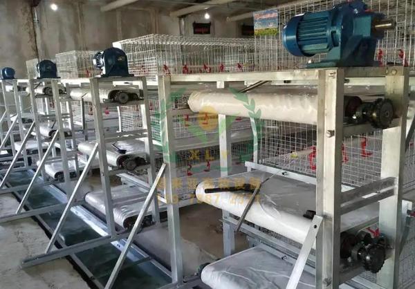 养鸭设备、鸭笼厂