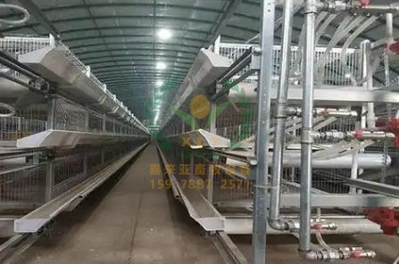 养鸡设备、鸡笼厂