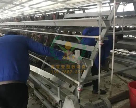 养鸡设备、鸡笼厂