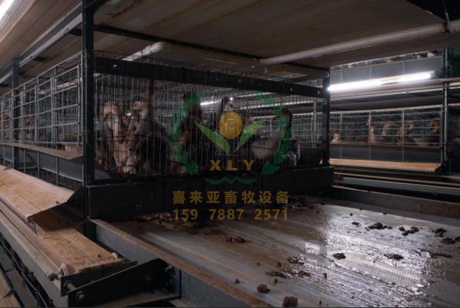 养鸭设备、鸭笼厂
