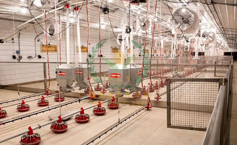 养鸡设备、鸡笼厂