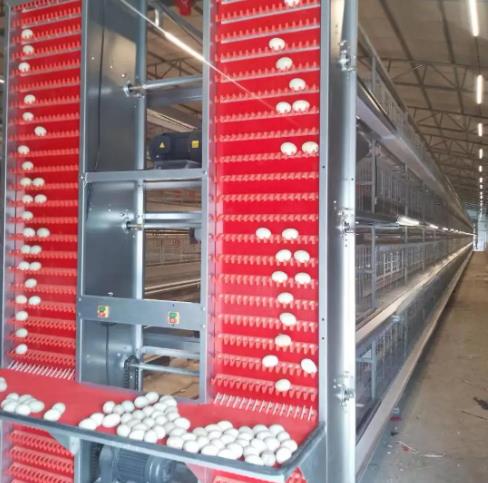 养鸡设备、鸡笼厂