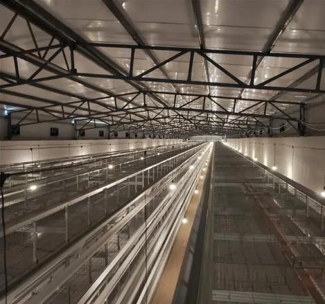 养鸭设备、鸡鸭厂