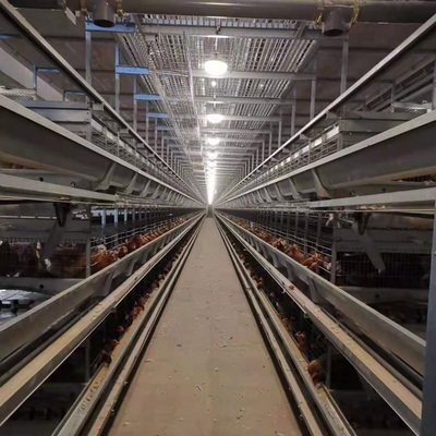 层叠式鸡笼