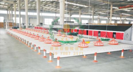 养鸡设备、鸡笼厂、平养鸡设备