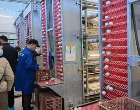 养鸭设备,鸭笼厂